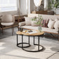 Algherohein Round Nesting Coffee Table Modern Set of 2 for Living Room