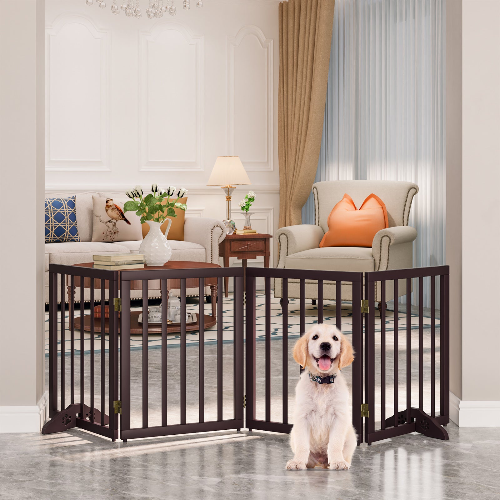 Wide pet outlet gates